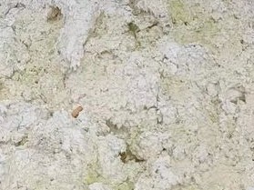 消費(fèi)低迷進(jìn)一步強(qiáng)化 紙漿繼續(xù)小幅下跌